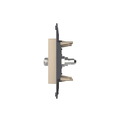 Livolo SAT-Modul als End-Dose in Gold