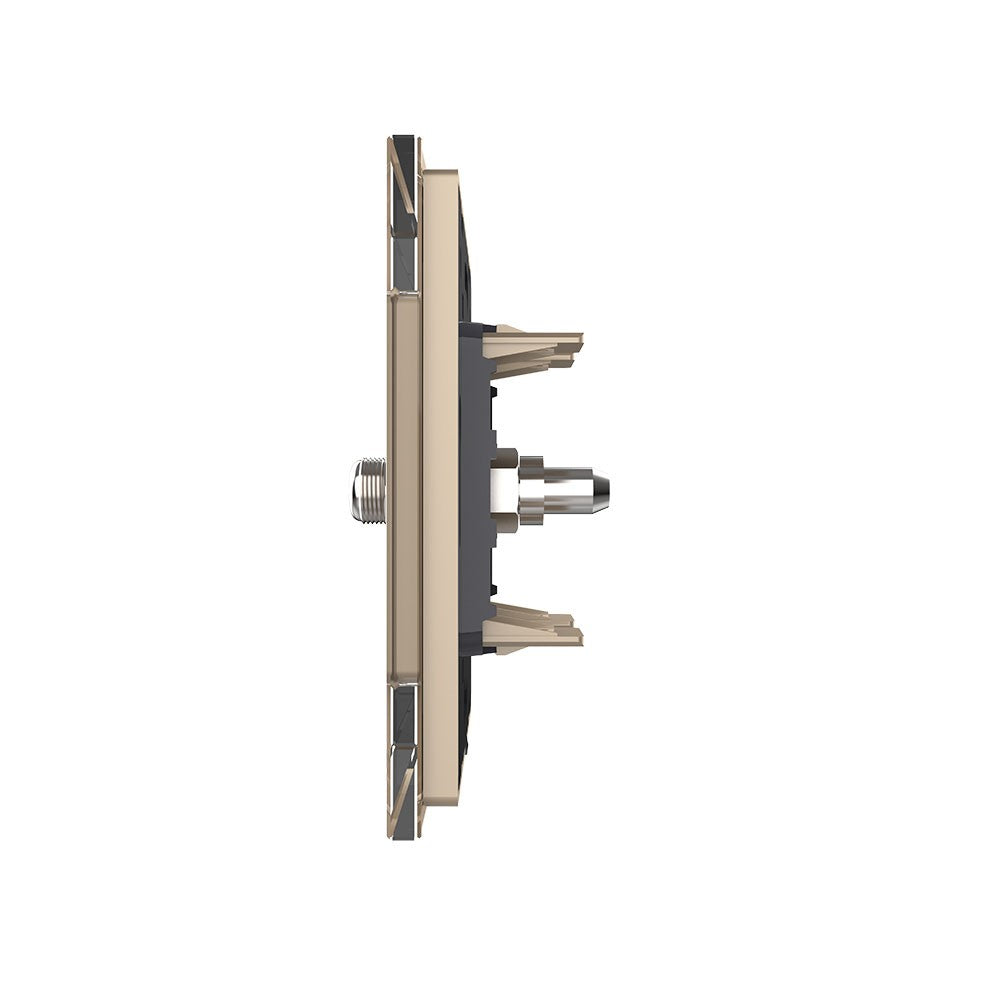 Livolo einfaches, goldenes SAT-Modul mit Glasrahmen