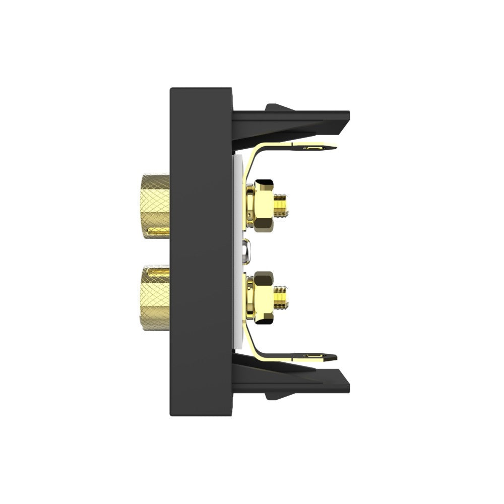 Livolo halbes Lautsprecher-Modul zum Schrauben in Schwarz