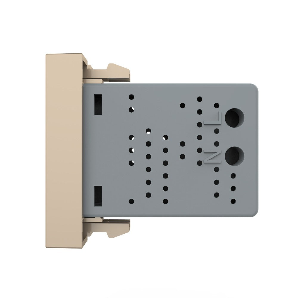 Livolo halbes, goldenes USB-Modul