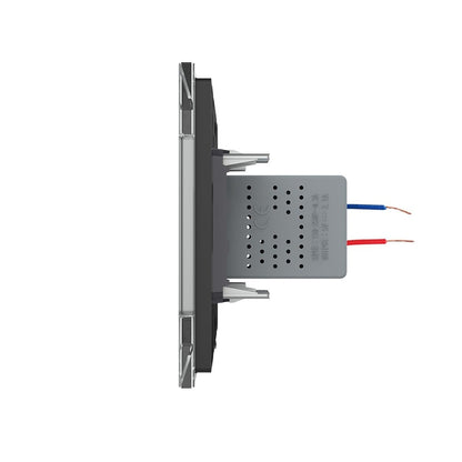 Livolo zweifaches USB-Modul mit Glasblende in Grau