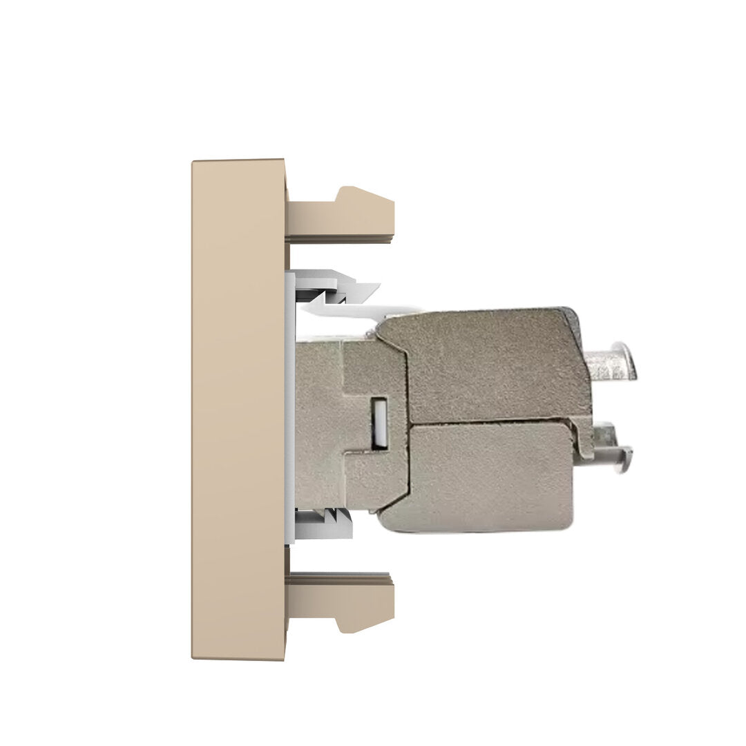 Livolo halbes, goldenes LAN-Modul CAT6A