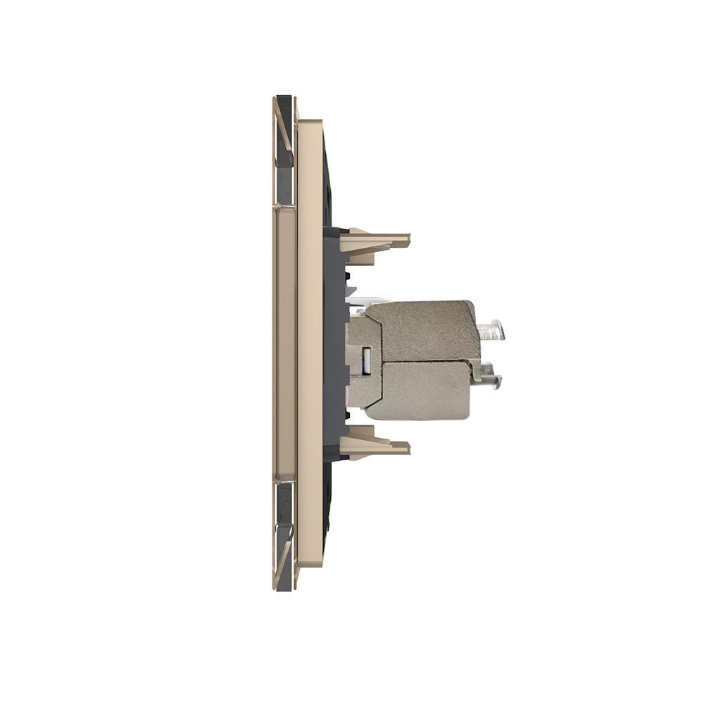 Einfaches LAN-Modul CAT6A RJ45 mit goldenem Glasrahmen