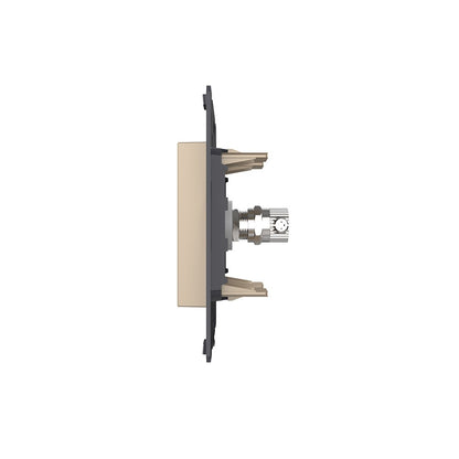 Livolo TV-Modul als End-Dose in Gold