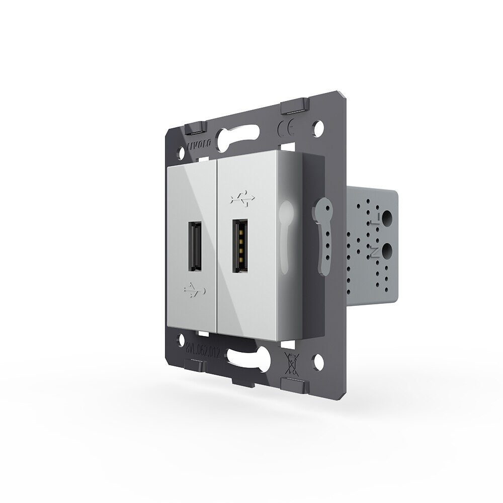 Livolo zweifaches, graues USB-A-Modul