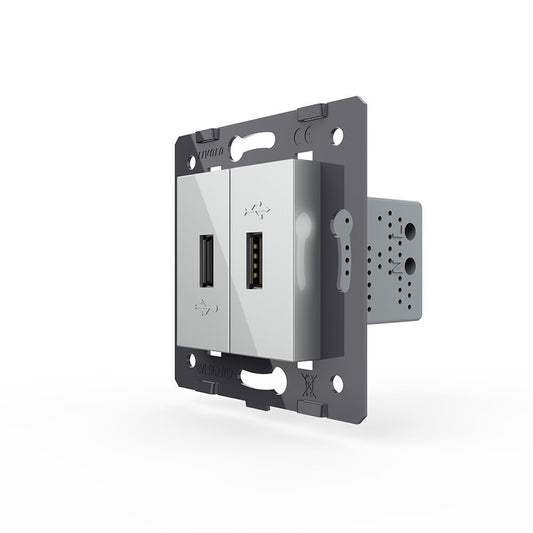 Livolo zweifaches, graues USB-A-Modul