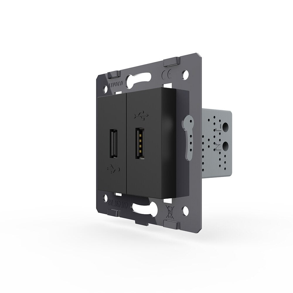 Livolo zweifaches USB-Modul zum Aufladen von Geräten in Schwarz