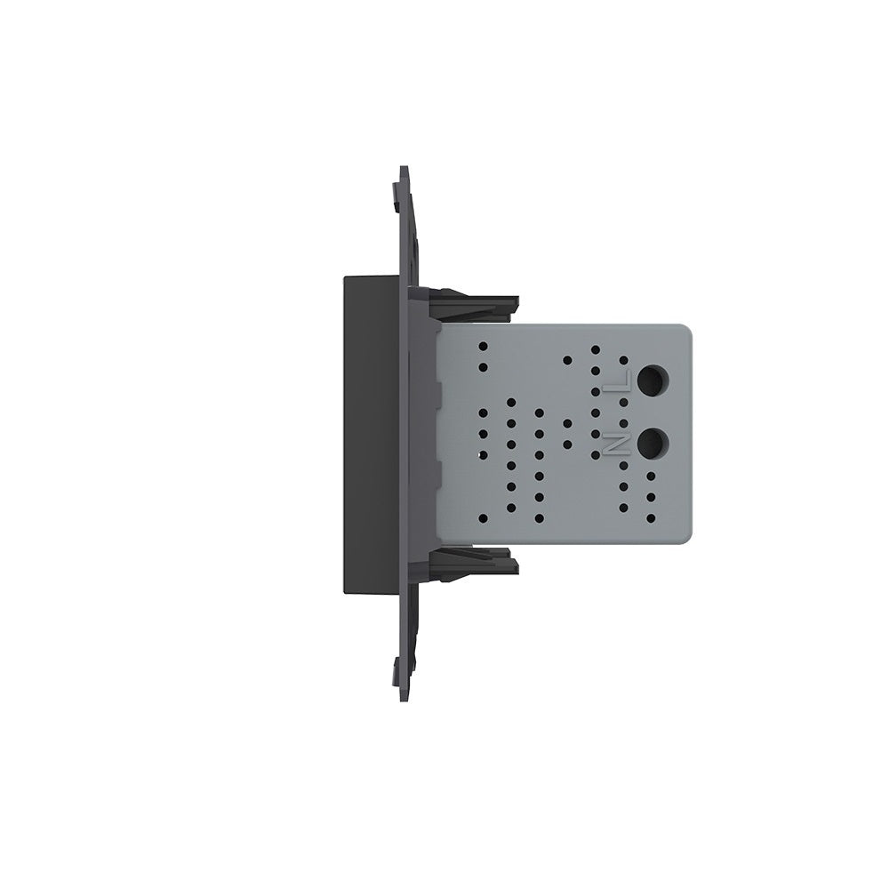 Livolo zweifaches USB-Modul zum Aufladen von Geräten in Schwarz