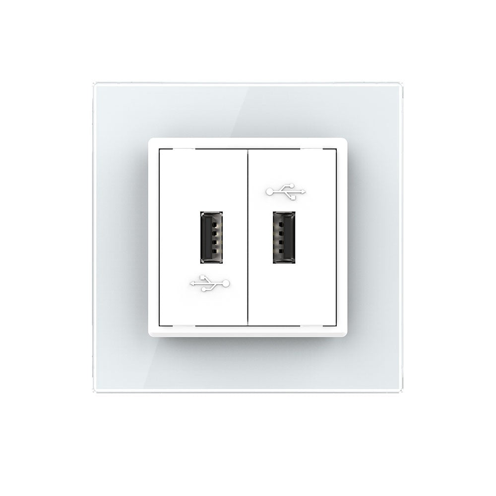 Livolo zweifaches USB-Modul zum Aufladen von Geräten mit Glasblende