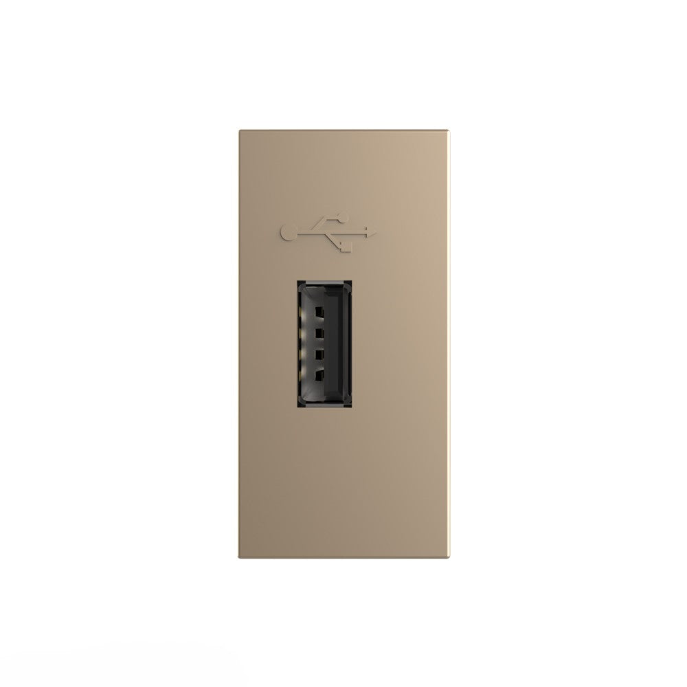 Livolo halbes, goldenes USB-Modul