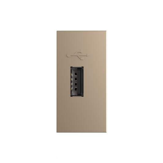 Livolo halbes, goldenes USB-Modul