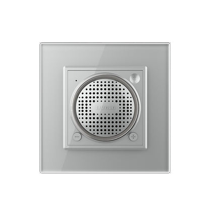 Livolo Bluetooth Lautsprecher mit Glasrahmen in Grau.