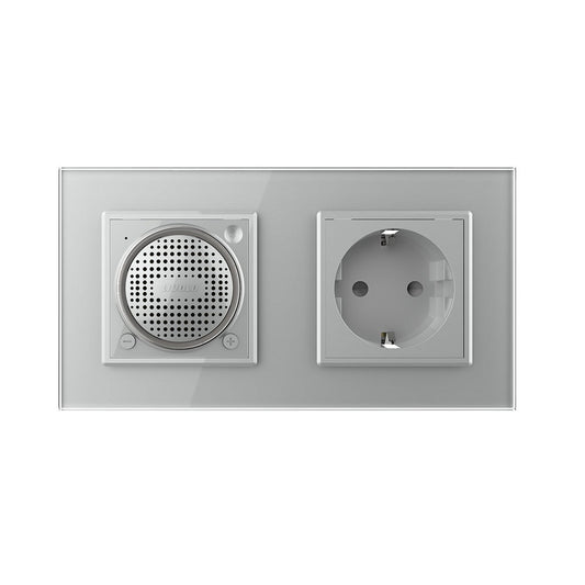 Livolo Bluetooth Lautsprecher + Steckdose inkl. Glasrahmen Grau