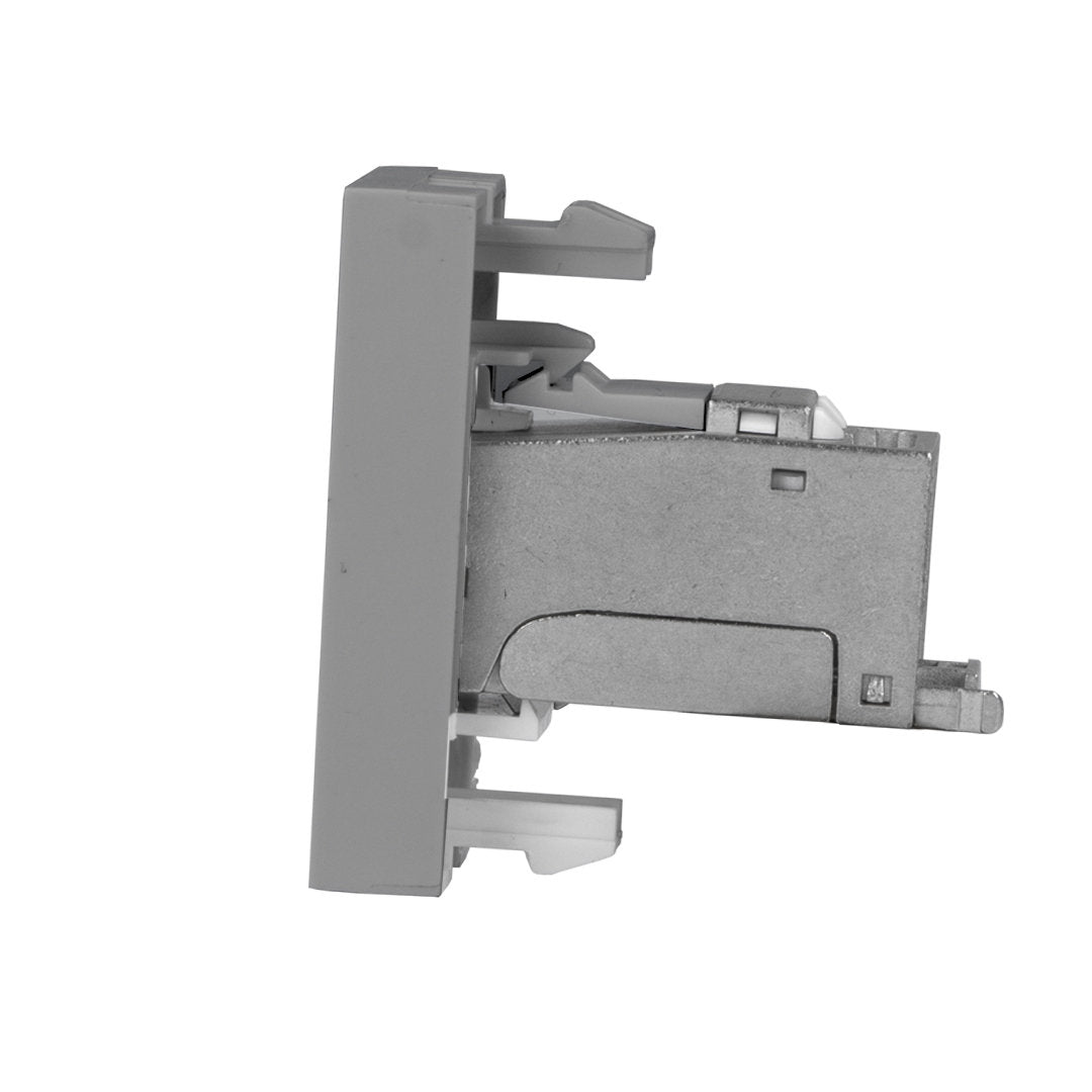 Livolo halbes, graues LAN-Modul CAT7